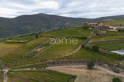 Villa a Sabrosa, Vila Real, Sabrosa - € 95.000 | Ref: ZMPT581370 - foto 49