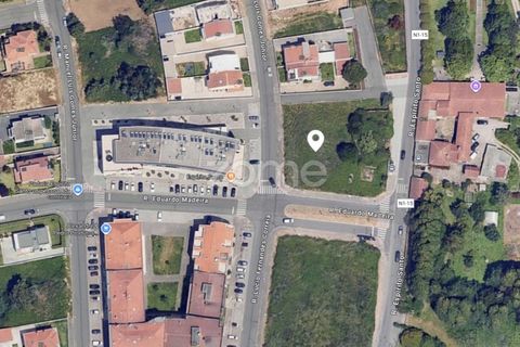 Helårsgrund i Arcozelo, Porto, Arcozelo - € 595.000 | Ref: ZMPT581348 - foto 4
