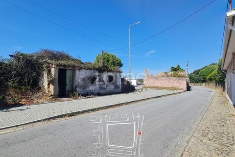 Helårsgrund i Arcozelo, Porto, Arcozelo - € 595.000 | Ref: ZMPT581348 - foto 10