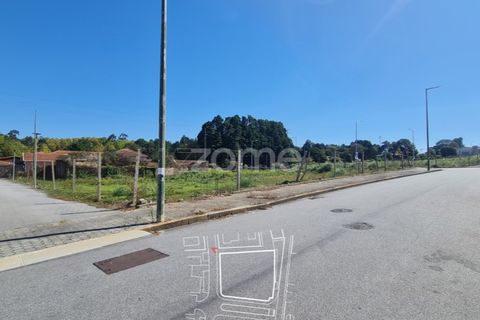 Helårsgrund i Arcozelo, Porto, Arcozelo - € 595.000 | Ref: ZMPT581348 - foto 15
