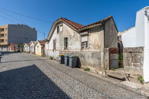 Villa i Maia, Porto, Maia - € 229.900 | Ref: ZMPT581054 - foto 14