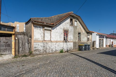 Villa i Maia, Porto, Maia - € 229.900 | Ref: ZMPT581054 - foto 30
