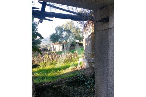 Ruinere i Barcelos, Braga, Barcelos - € 65.000 | Ref: 1350229/25VC - foto 6