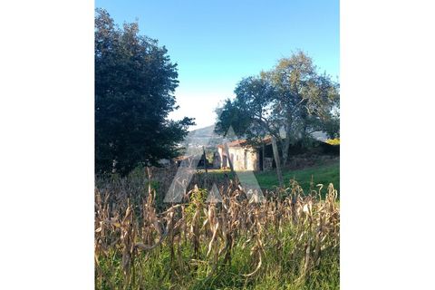 Ruinere i Barcelos, Braga, Barcelos - € 65.000 | Ref: 1350229/25VC - foto 8
