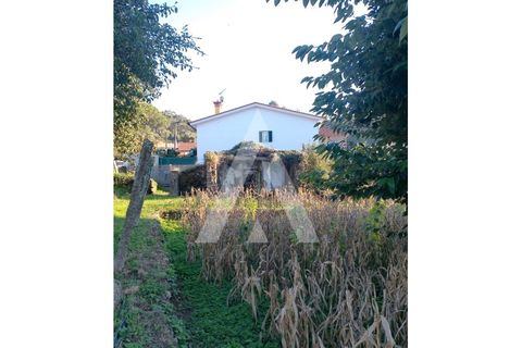 Ruinere i Barcelos, Braga, Barcelos - € 65.000 | Ref: 1350229/25VC - foto 9
