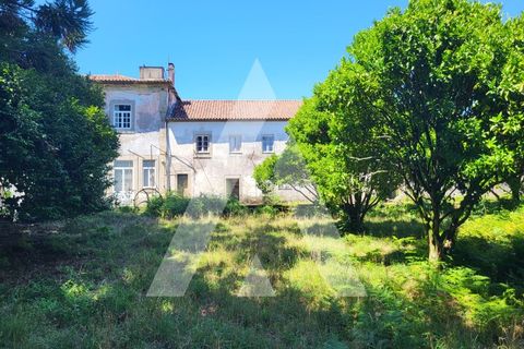 Villa i Viana do Castelo, Viana do Castelo, Viana do Castelo - € 850.000 | Ref: 1350094/24VC - foto 10