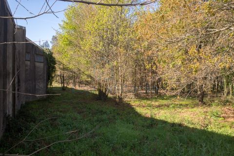 Helårsgrund i Braga, Braga, Braga - € 380.000 | Ref: 132 - foto 17