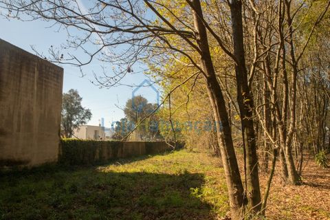 Helårsgrund i Braga, Braga, Braga - € 380.000 | Ref: 132 - foto 24