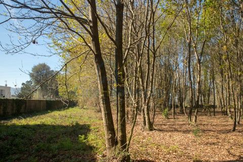 Helårsgrund i Braga, Braga, Braga - € 380.000 | Ref: 132 - foto 28