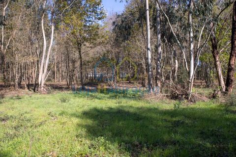 Helårsgrund i Braga, Braga, Braga - € 380.000 | Ref: 132 - foto 29