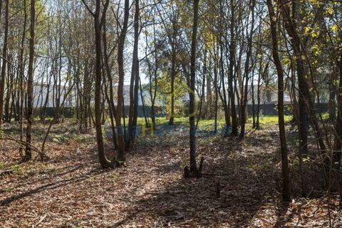 Helårsgrund i Braga, Braga, Braga - € 380.000 | Ref: 132 - foto 33