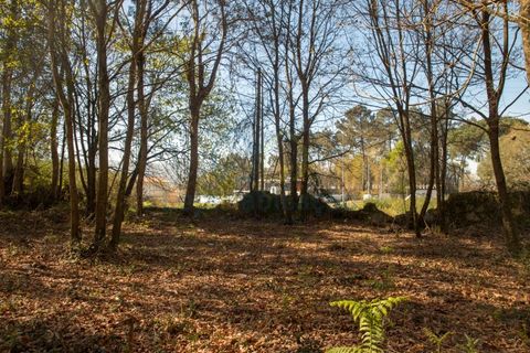 Helårsgrund i Braga, Braga, Braga - € 380.000 | Ref: 132 - foto 36