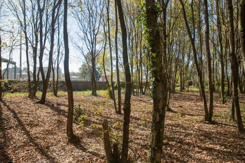 Helårsgrund i Braga, Braga, Braga - € 380.000 | Ref: 132 - foto 40