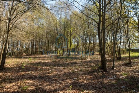 Helårsgrund i Braga, Braga, Braga - € 380.000 | Ref: 132 - foto 42