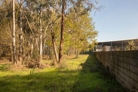 Helårsgrund i Braga, Braga, Braga - € 380.000 | Ref: 132.1 - foto 31