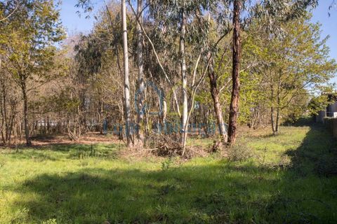 Helårsgrund i Braga, Braga, Braga - € 380.000 | Ref: 132.1 - foto 36