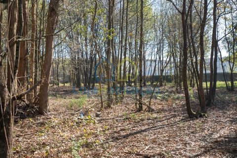 Helårsgrund i Braga, Braga, Braga - € 380.000 | Ref: 132.1 - foto 37
