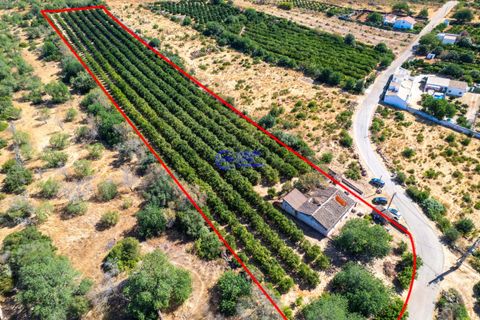 Farm hus i Paderne, Faro, Paderne - € 450.000 | Ref: IF001 - foto 2
