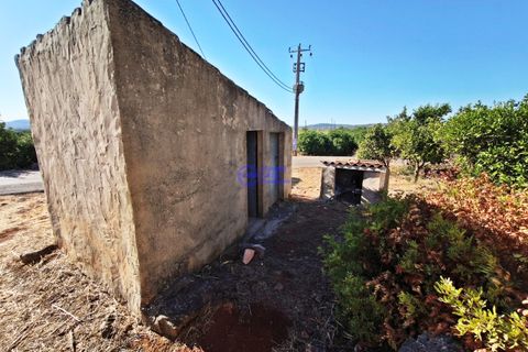 Farm hus i Paderne, Faro, Paderne - € 450.000 | Ref: IF001 - foto 5