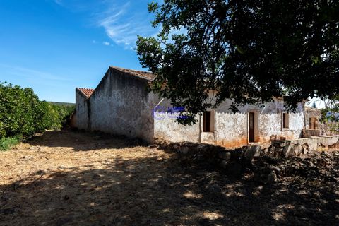 Farm hus i Paderne, Faro, Paderne - € 450.000 | Ref: IF001 - foto 3
