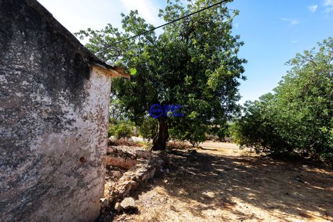 Farm hus i Paderne, Faro, Paderne - € 450.000 | Ref: IF001 - foto 7