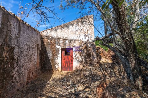 Farm hus i Paderne, Faro, Paderne - € 450.000 | Ref: IF001 - foto 18