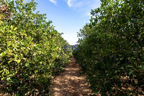 Farm hus i Paderne, Faro, Paderne - € 450.000 | Ref: IF001 - foto 24