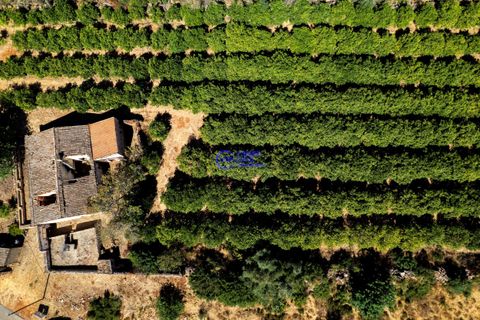 Farm hus i Paderne, Faro, Paderne - € 450.000 | Ref: IF001 - foto 27