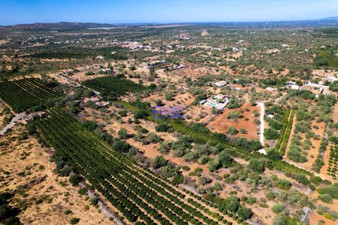 Farm hus i Paderne, Faro, Paderne - € 450.000 | Ref: IF001 - foto 28
