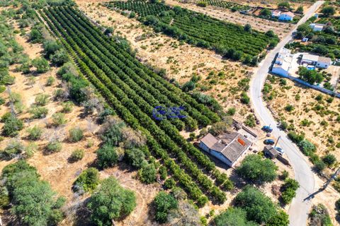 Farm hus i Paderne, Faro, Paderne - € 450.000 | Ref: IF001 - foto 29