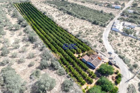 Farm hus i Paderne, Faro, Paderne - € 450.000 | Ref: IF001 - foto 30
