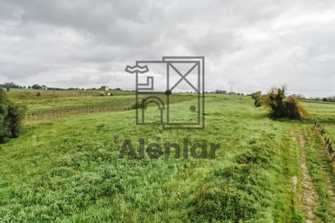 Helårsgrund i Alenquer, Lisbon, Alenquer - € 18.000 | Ref: SÒL_108 - foto 6