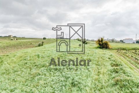 Helårsgrund i Alenquer, Lisbon, Alenquer - € 18.000 | Ref: SÒL_108 - foto 7
