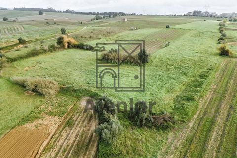 Helårsgrund i Alenquer, Lisbon, Alenquer - € 18.000 | Ref: SÒL_108 - foto 12