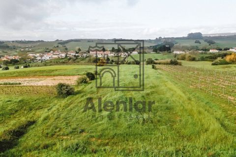 Helårsgrund i Alenquer, Lisbon, Alenquer - € 18.000 | Ref: SÒL_108 - foto 15