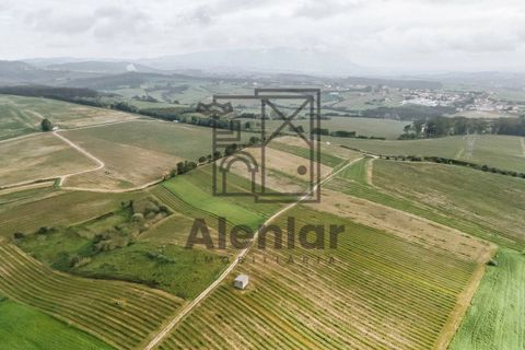 Helårsgrund i Alenquer, Lisbon, Alenquer - € 18.000 | Ref: SÒL_108 - foto 16