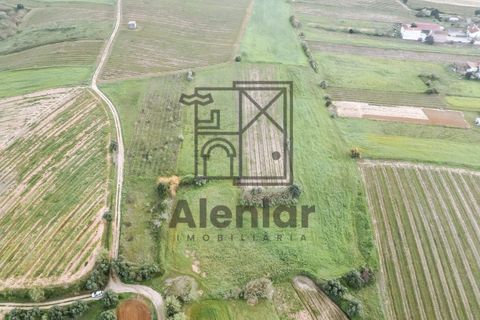 Helårsgrund i Alenquer, Lisbon, Alenquer - € 18.000 | Ref: SÒL_108 - foto 19