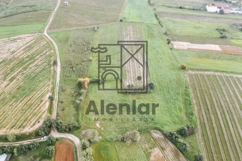 Helårsgrund i Alenquer, Lisbon, Alenquer - € 18.000 | Ref: SÒL_108 - foto 20