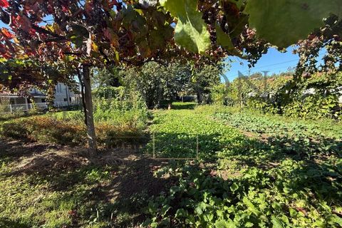 Villa i Croca, Porto, Croca - € 228.000 | Ref: MP-EF-M-273 - foto 11