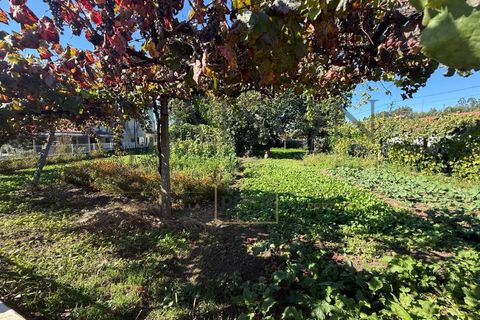 Villa i Croca, Porto, Croca - € 228.000 | Ref: MP-EF-M-273 - foto 12