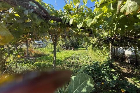 Villa i Croca, Porto, Croca - € 228.000 | Ref: MP-EF-M-273 - foto 14