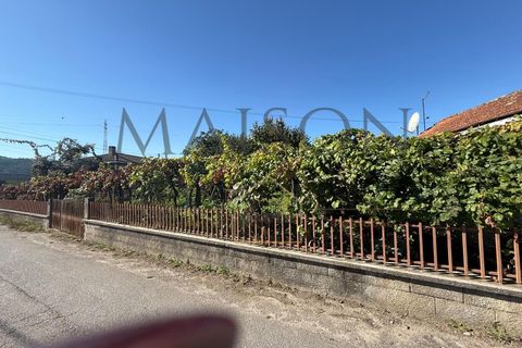 Villa i Croca, Porto, Croca - € 228.000 | Ref: MP-EF-M-273 - foto 15