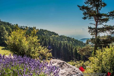 Dúplex a Aubure, Haut-Rhin, Aubure - € 299.000 | Ref: 999640-LIMMOBILIERE - foto 8