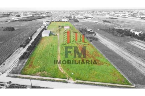 Farm i Almeirim, Santarem, Almeirim - € 350.000 | Ref: FM1108 - foto 1