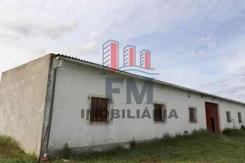 Farm i Almeirim, Santarem, Almeirim - € 350.000 | Ref: FM1108 - foto 2