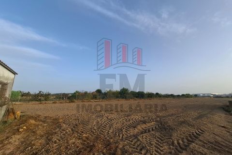 Farm i Almeirim, Santarem, Almeirim - € 350.000 | Ref: FM1108 - foto 3