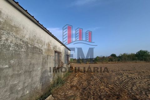 Farm i Almeirim, Santarem, Almeirim - € 350.000 | Ref: FM1108 - foto 5
