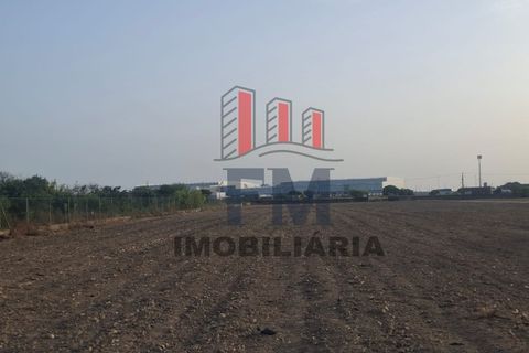 Farm i Almeirim, Santarem, Almeirim - € 350.000 | Ref: FM1108 - foto 6