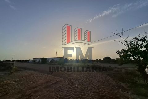 Farm i Almeirim, Santarem, Almeirim - € 350.000 | Ref: FM1108 - foto 7