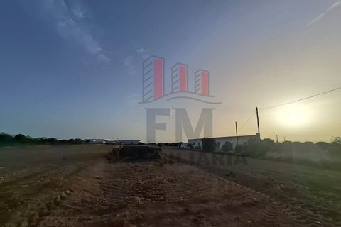 Farm i Almeirim, Santarem, Almeirim - € 350.000 | Ref: FM1108 - foto 8